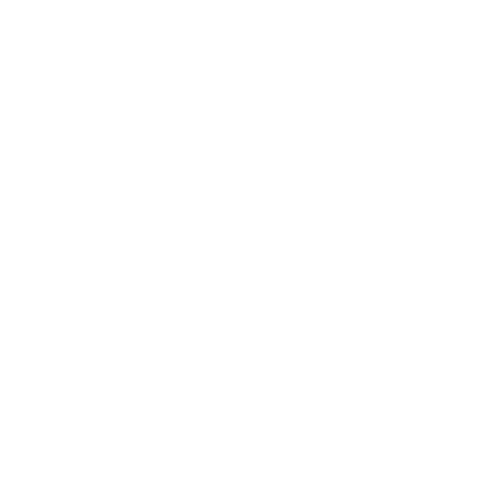 Executive Echo white circle with white text